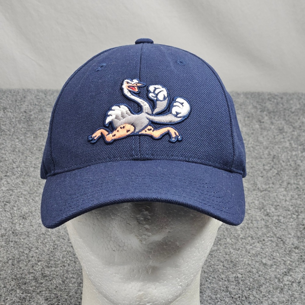 Reading Fightin Phils Baseball Cap Minor League Baseball Cap Navy Strapback Hat‎